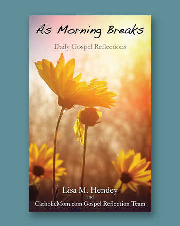 As Morning Breaks, Daily Gospel Reflections